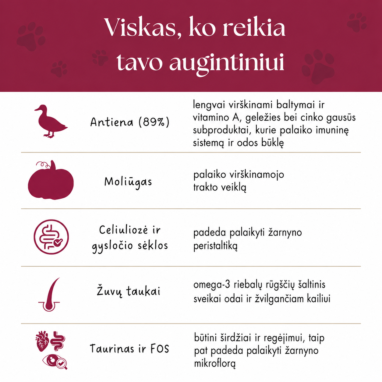 „Dr. Malou” anties ir moliūgų sriuba - šaldytu būdu džiovintas visavertis šunų maistas