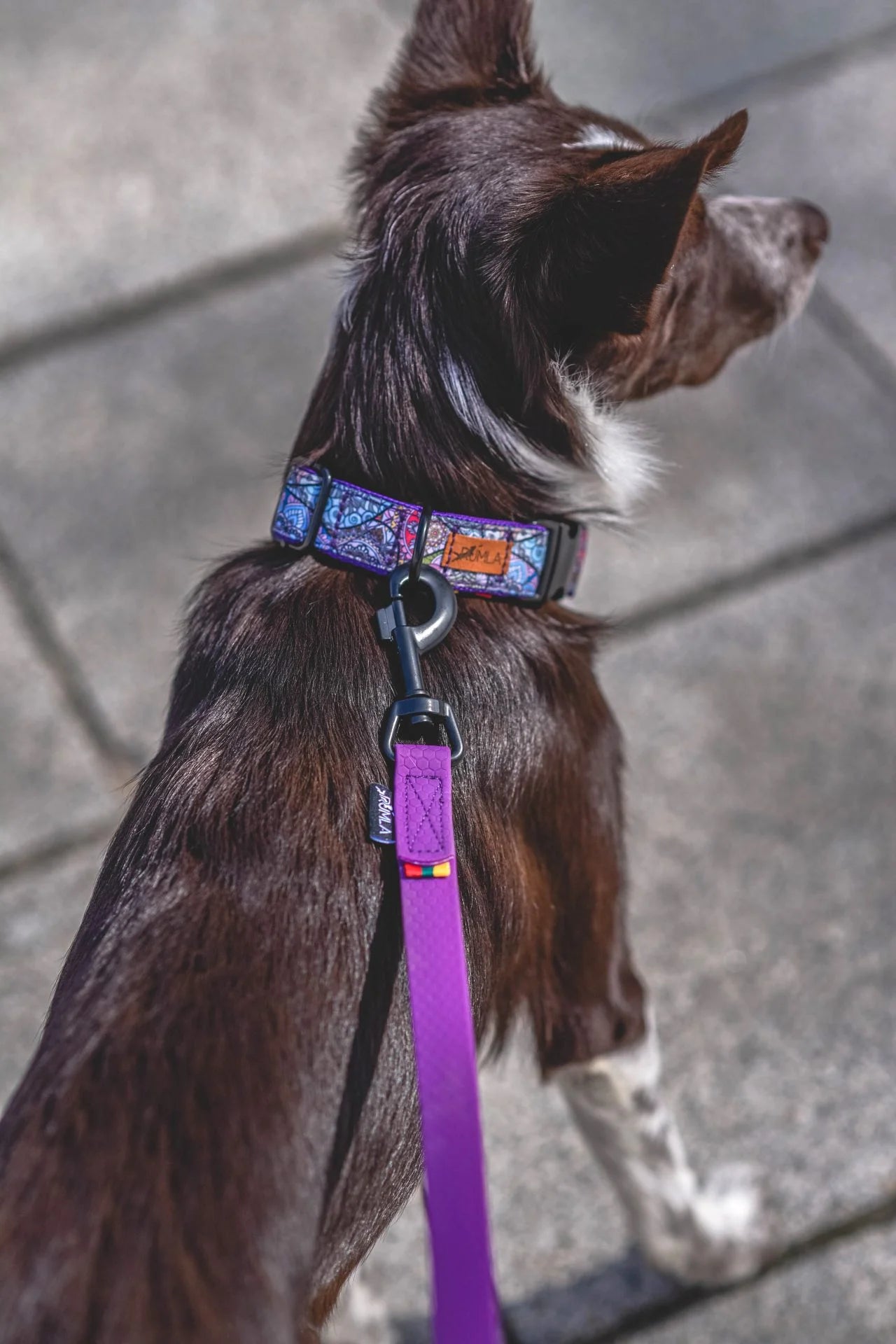 RUMLA Minkštas ir vandeniui atsparus 15mm pločio pavadėlis