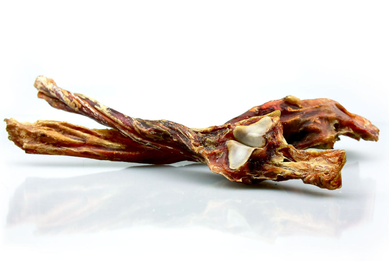 Arklio achilo sausgyslė (1 vnt.) Pets Best