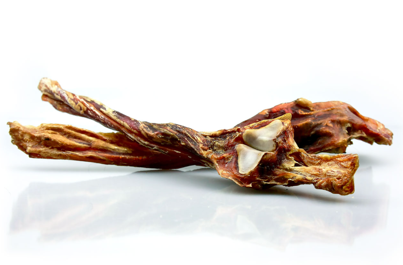 Arklio achilo sausgyslė (1 vnt.) Pets Best