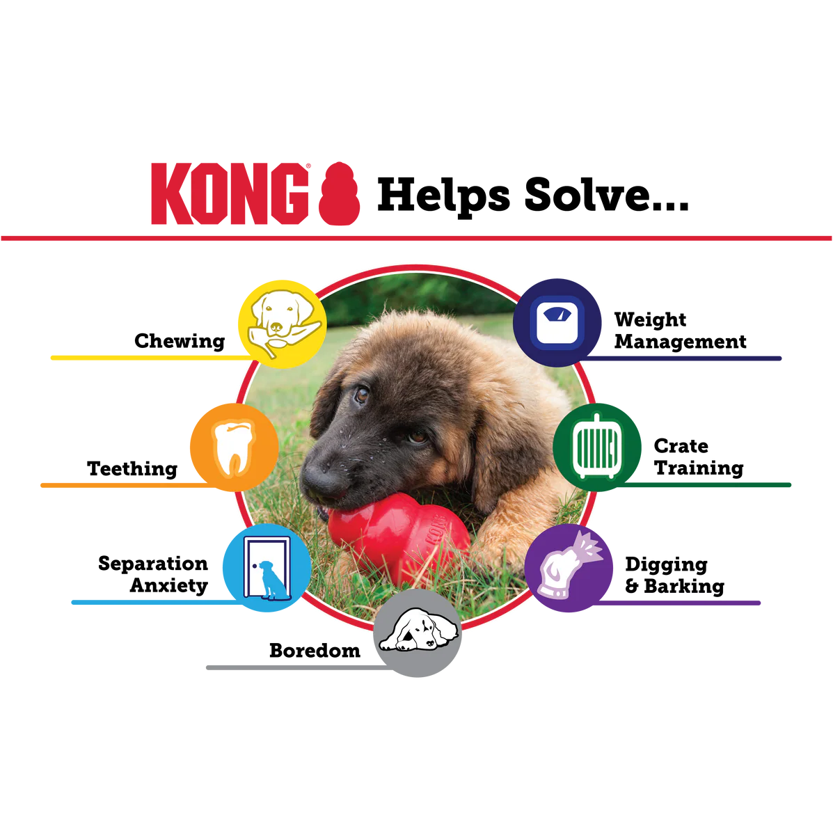 KONG Extreme, žaislas šunims