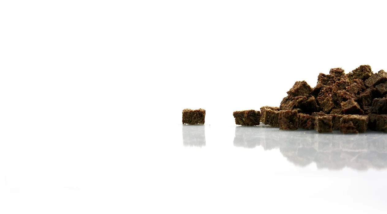 Arklienos skanėstai dresūrai Pets Best 80g.