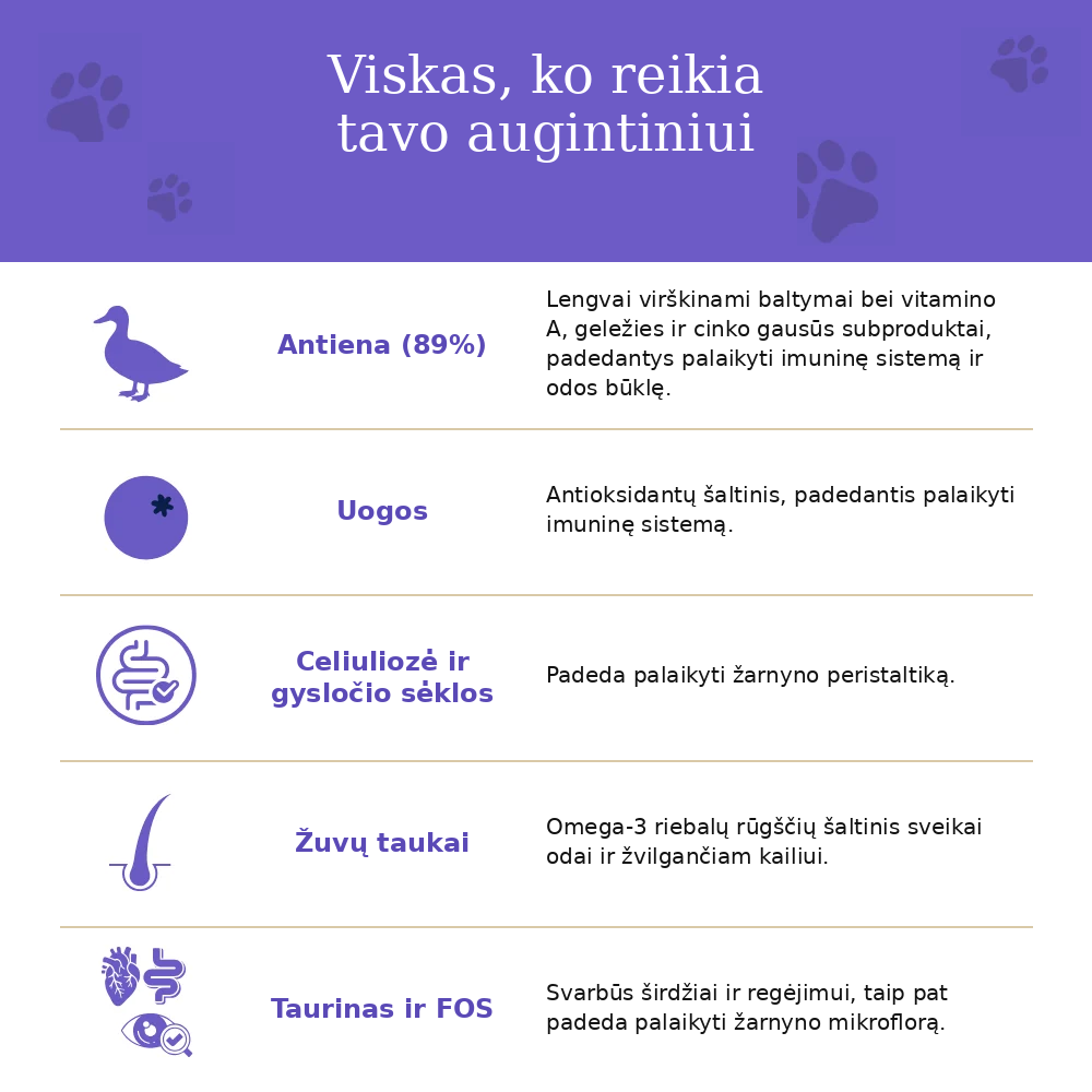 „Dr. Malou” anties ir mėlynių sriuba - šaldytu būdu džiovintas visavertis šunų maistas