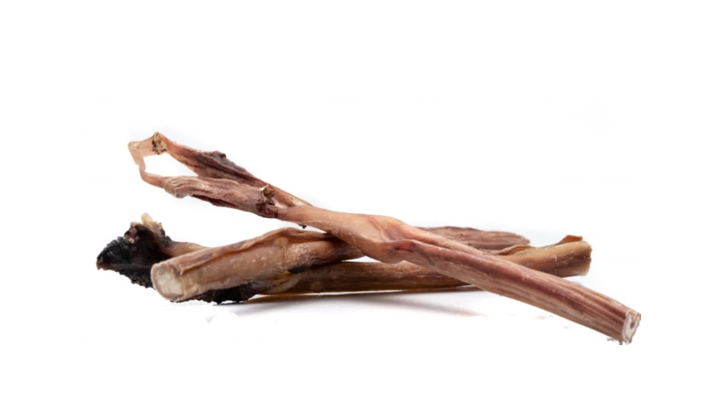 Džiovintas jaučio penis 80cm Pets Best