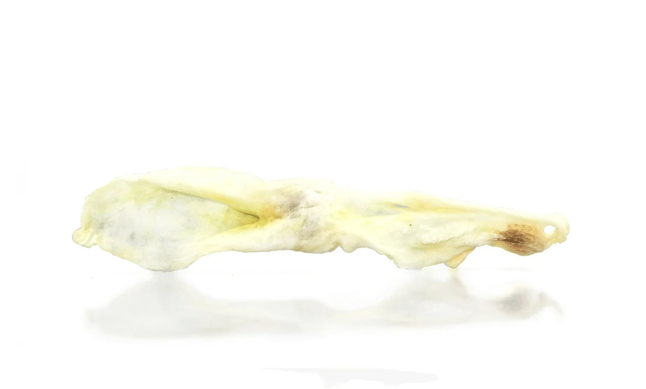 Triušio ausys 90g Pets Best